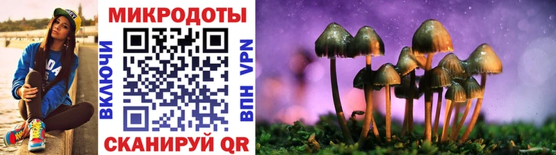 Псилоцибиновые грибы Magic Shrooms OMG ССЫЛКА Козловка