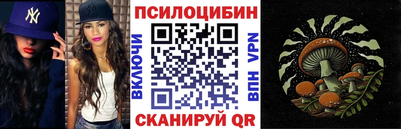 Псилоцибиновые грибы Cubensis Козловка